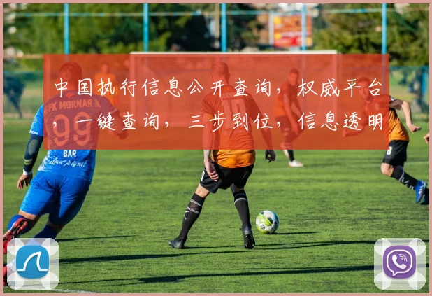 中国执行信息公开查询，权威平台，一键查询，三步到位，信息透明，放心使用，轻松掌握。