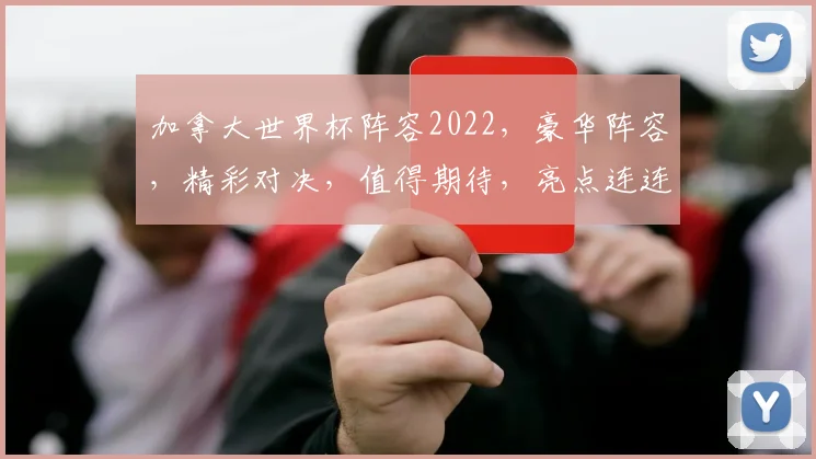 加拿大世界杯阵容2022，豪华阵容，精彩对决，值得期待，亮点连连，不容错过