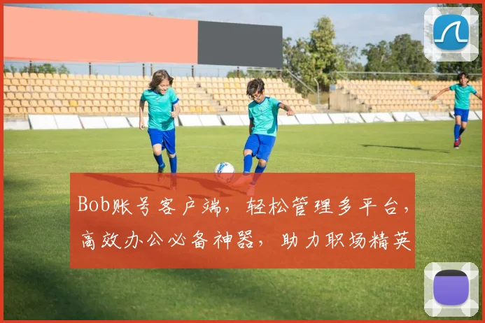 Bob账号客户端，轻松管理多平台，高效办公必备神器，助力职场精英，一触即达