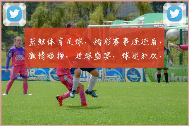 蓝鲸体育足球，精彩赛事连连看，激情碰撞，进球盛宴，球迷狂欢，不容错过